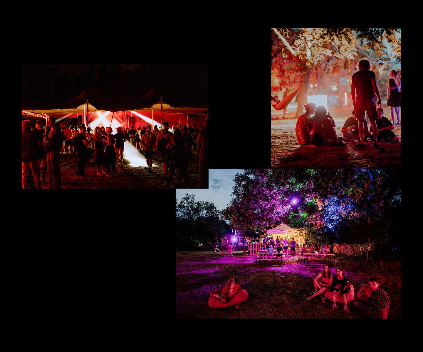 GROVE image